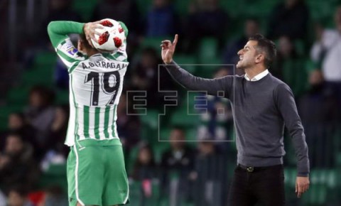 FÚTBOL RACING Santander se tiñe de verdiblanco para celebrar el ascenso del Racing